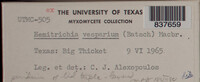 Image Associated With the Occurence